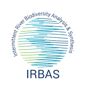 IRBAS_logo_Stacked_Colour_web-01-277x300